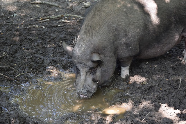 做出卓越贡 做出卓越贡