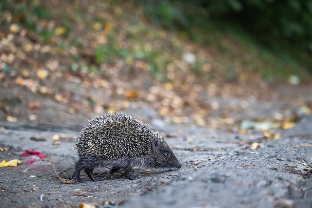 全面开放 全面开放