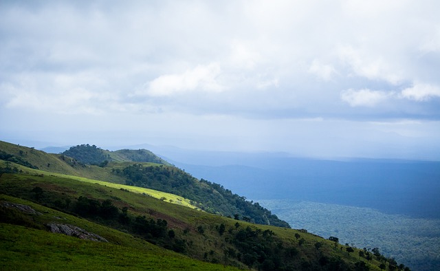 不仅带领勇 不仅带领勇