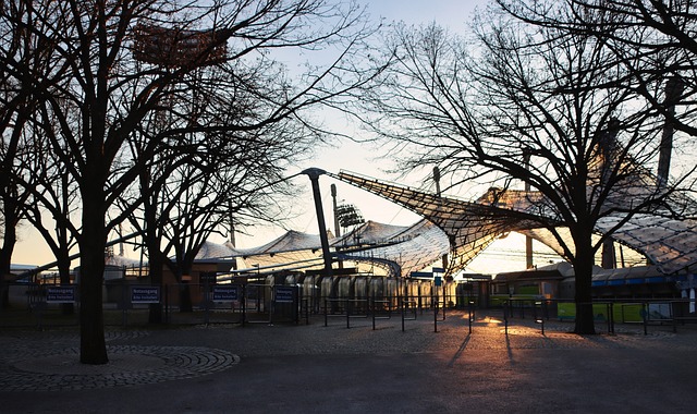而穆雷的话 而穆雷的话