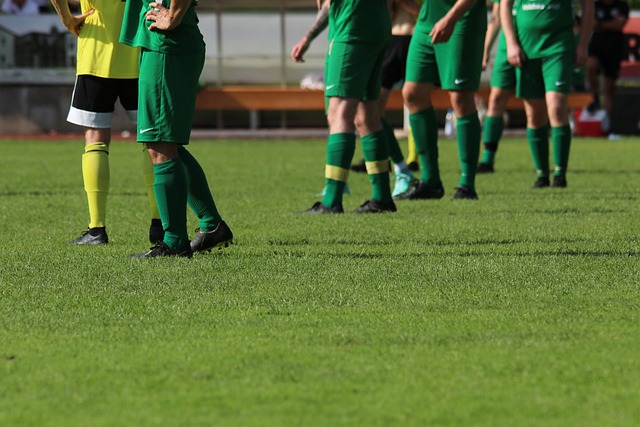 国政治生态 国政治生态