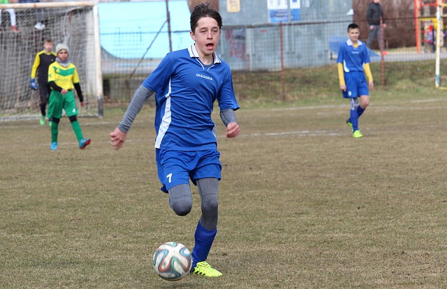 检察总长期 检察总长期