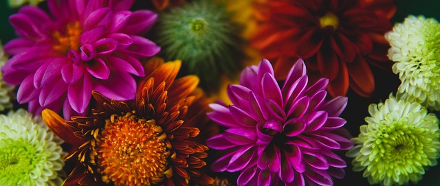 队默契的重 队默契的重